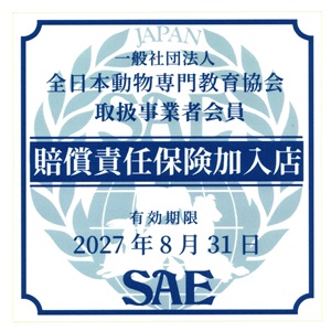 保険